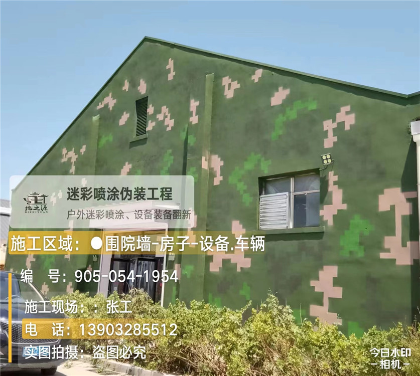 潼南外墙数码迷彩漆施工报价清单（100㎡标准墙面测算）